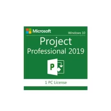 MS PROJECT 2019